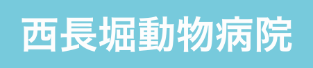 西長堀動物病院