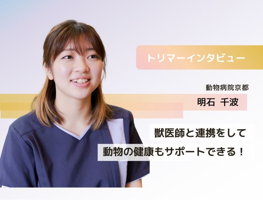 トリマー 明石さん(動物病院京都)