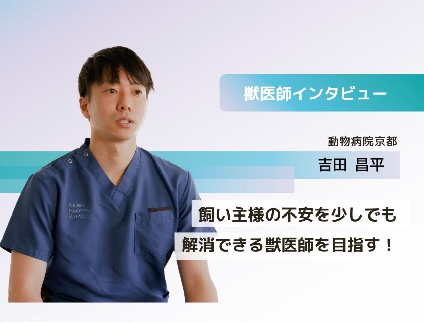 獣医師 吉田先生(動物病院京都)