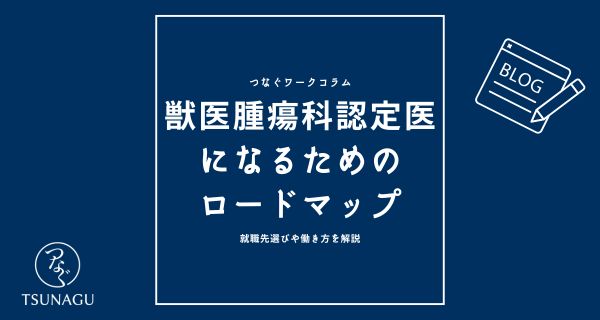 獣医師の腫瘍科の認定医になるためのロードマップ｜就職先選びや働き方を解説