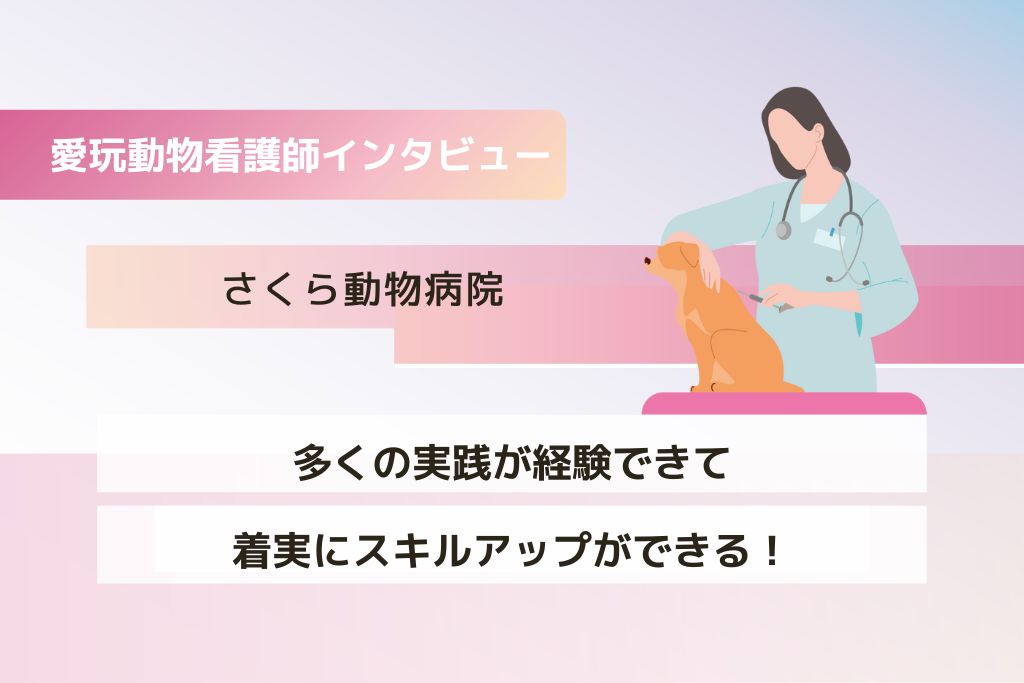 看護師 伊藤さん（さくら動物病院）