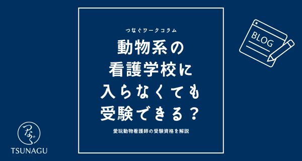 愛玩動物看護師の受験資格を解説｜動物系の看護学校に入らなくても受験できる？