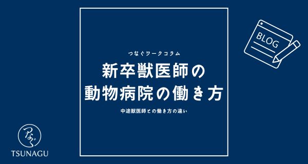 新卒の獣医師の動物病院での働き方｜中途獣医師との働き方の違い