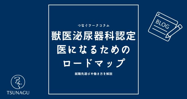 獣医師の腎泌尿器科の認定医になるためのロードマップ｜就職先選びや働き方を解説