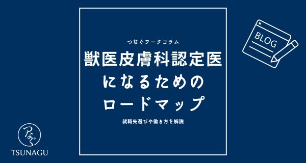 獣医師の皮膚科の認定医になるためのロードマップ｜就職先選びや働き方を解説