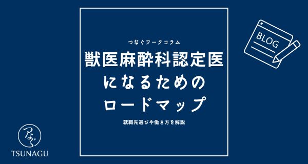 獣医師の麻酔科の認定医になるためのロードマップ｜就職先選びや働き方を解説