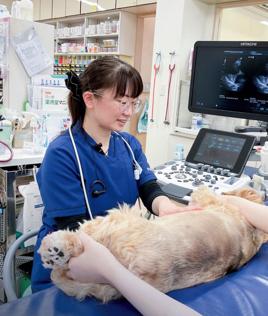 【JAHA WOMAN】まさき動物病院　宮窪先生