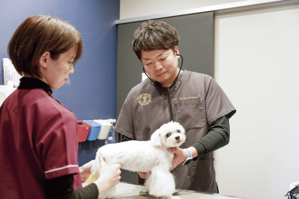 【院長先生に聞いてみた】 滝本 功卓先生 Roots動物病院(奈良県生駒市)院長