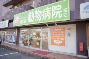 城北通り動物病院 松江の獣医師・看護師求人画像
